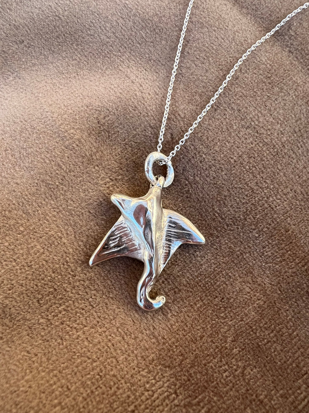 Manta Ray