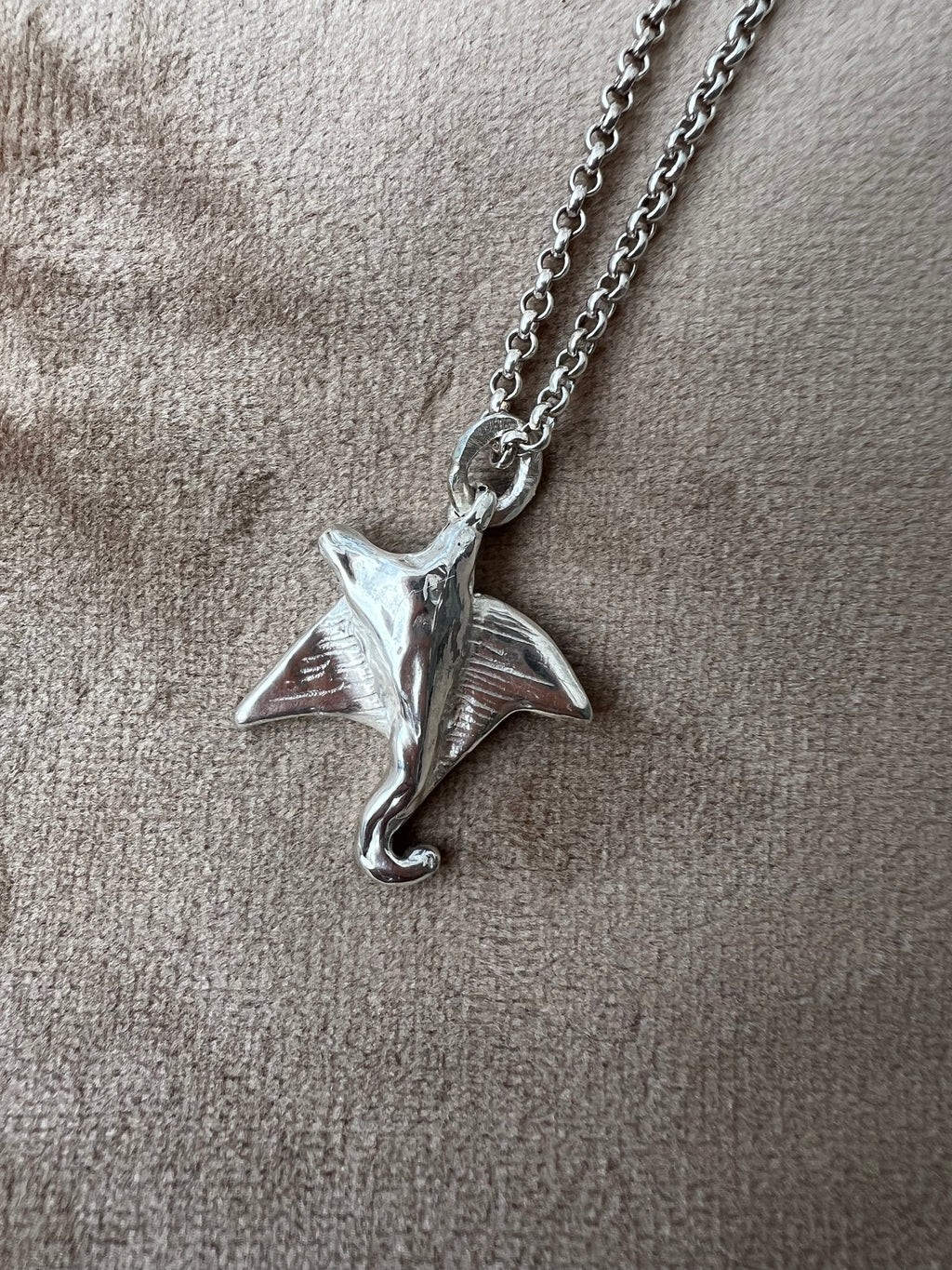 Manta Ray
