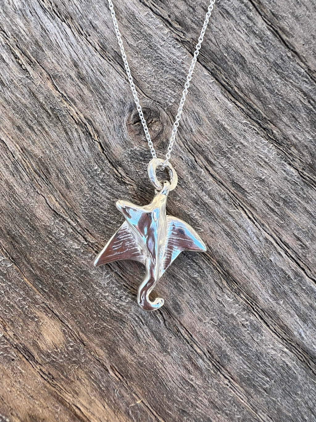 Manta Ray